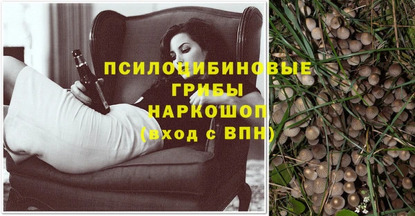 молекула духа Белокуриха