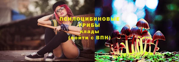 меф Пестово