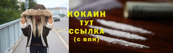молекула духа Белокуриха