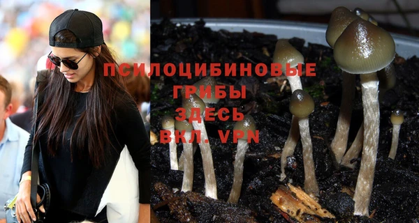 молекула духа Белокуриха