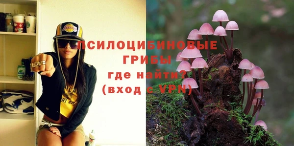 молекула духа Белокуриха