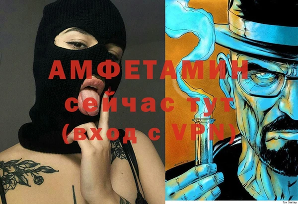 молекула духа Белокуриха