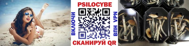 Галлюциногенные грибы ЛСД  Надым 